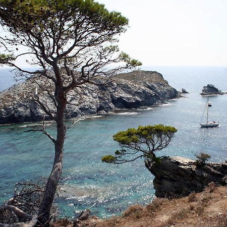 T2 vue mer 50m de la plage à Giens  Hyères Esterno foto