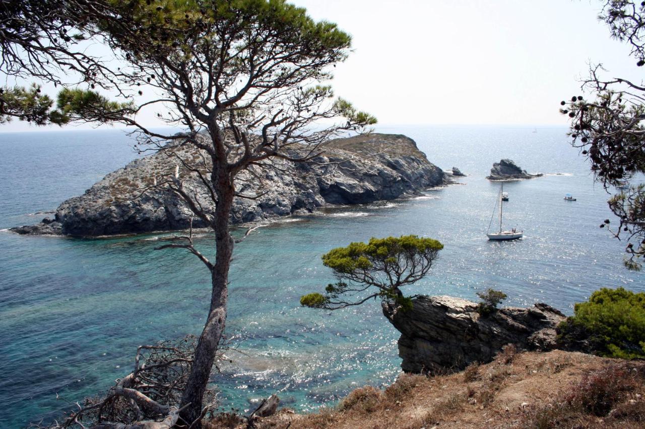 T2 vue mer 50m de la plage à Giens  Hyères Esterno foto